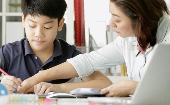 韋德教育 專業(yè)教育咨詢，賦能學子成長之路